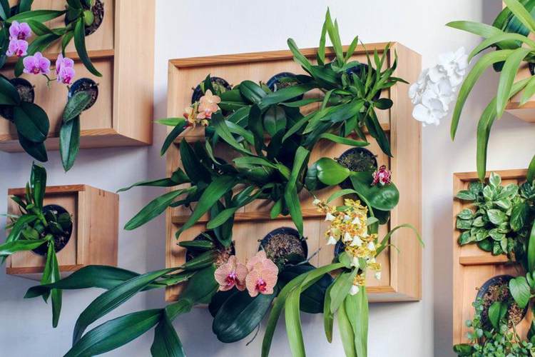 Vertical Orchid Planter DIY