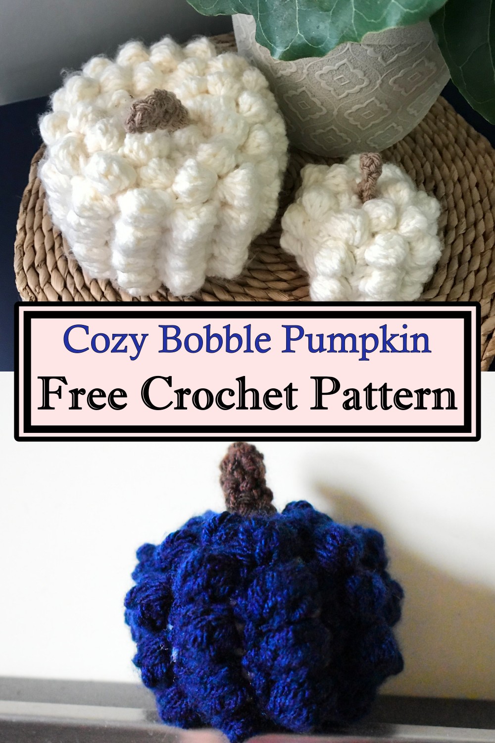 Bobble Pumpkin Crochet Cozy Pattern