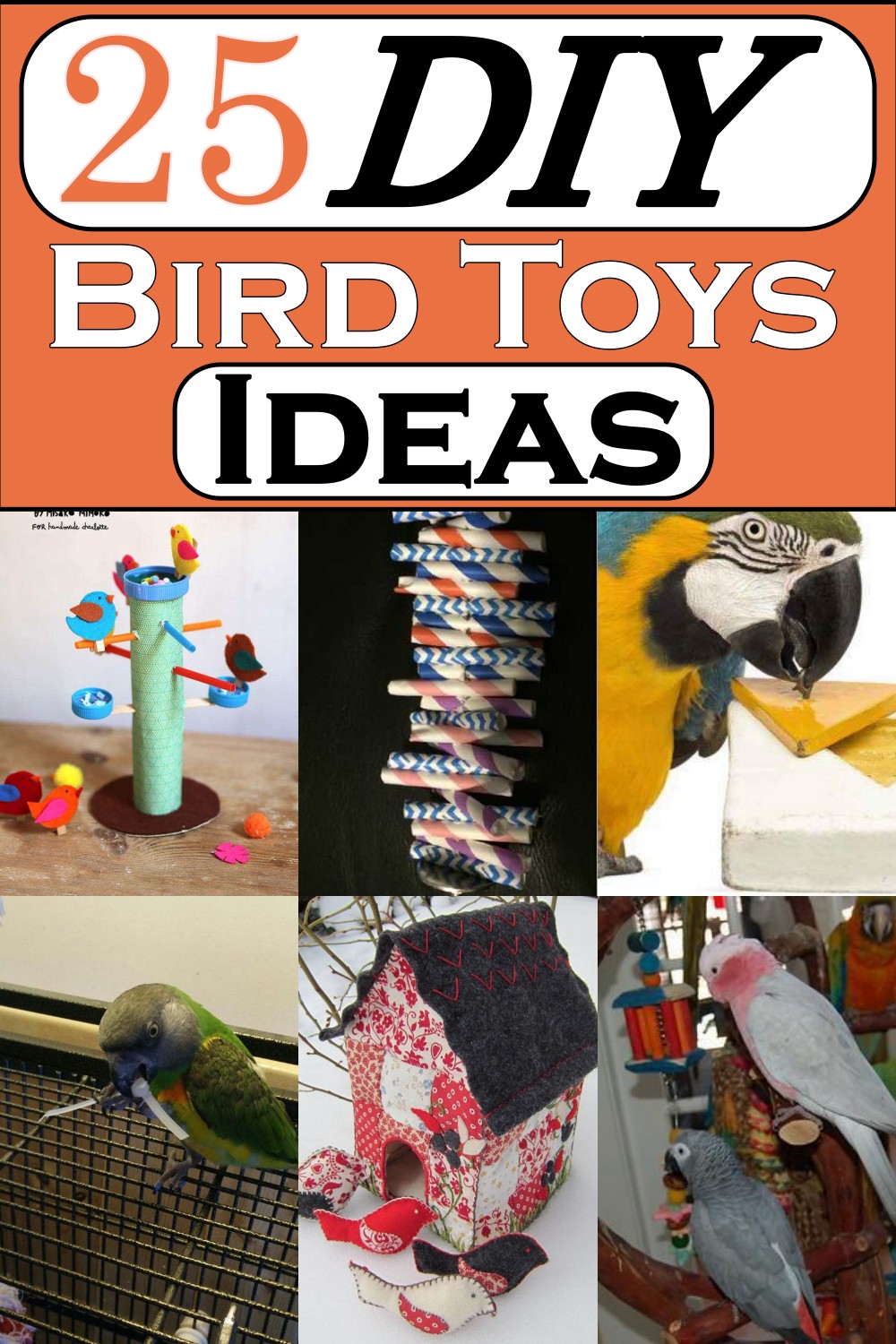 DIY Bird Toys Ideas