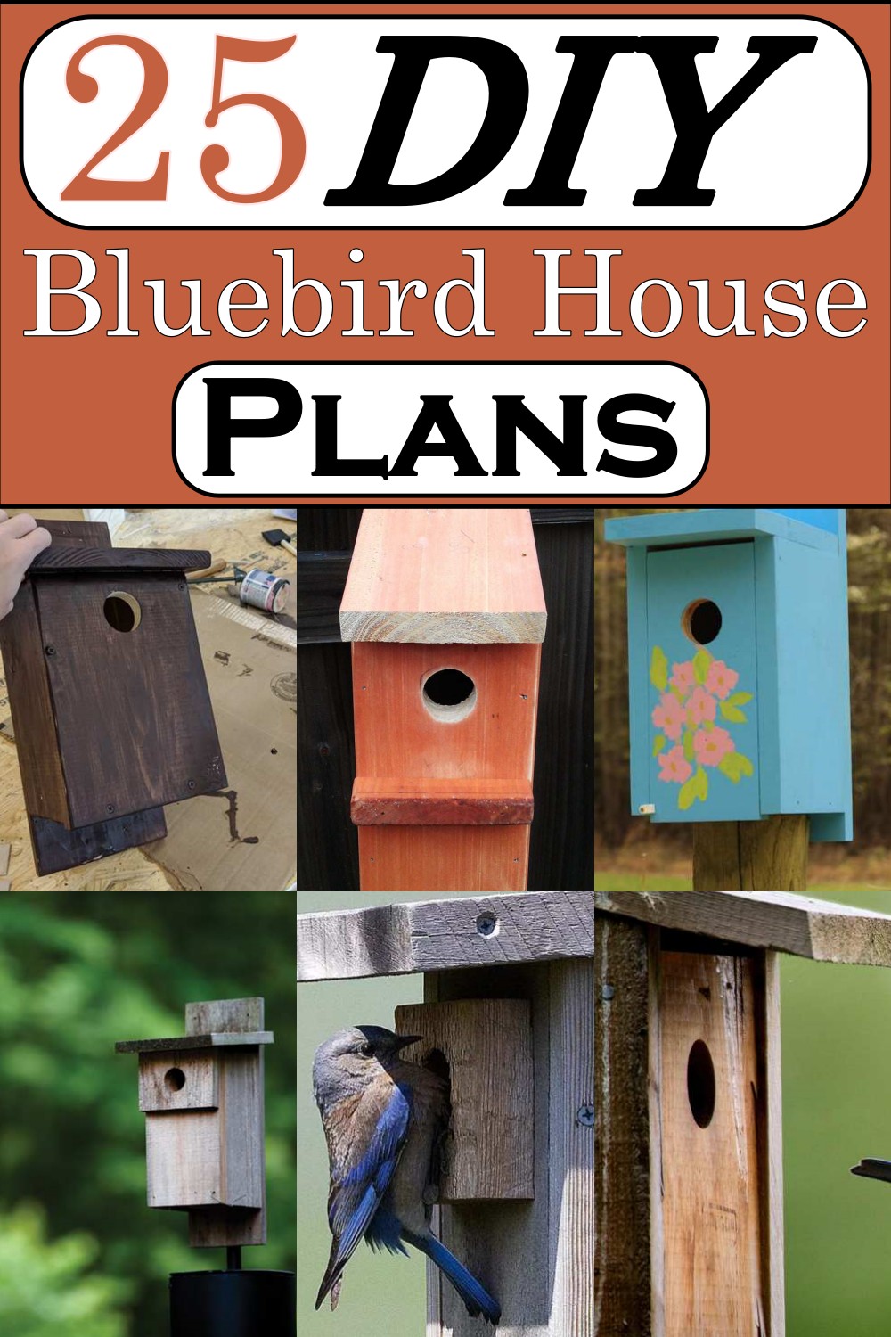 DIY Bluebird House Plans 1