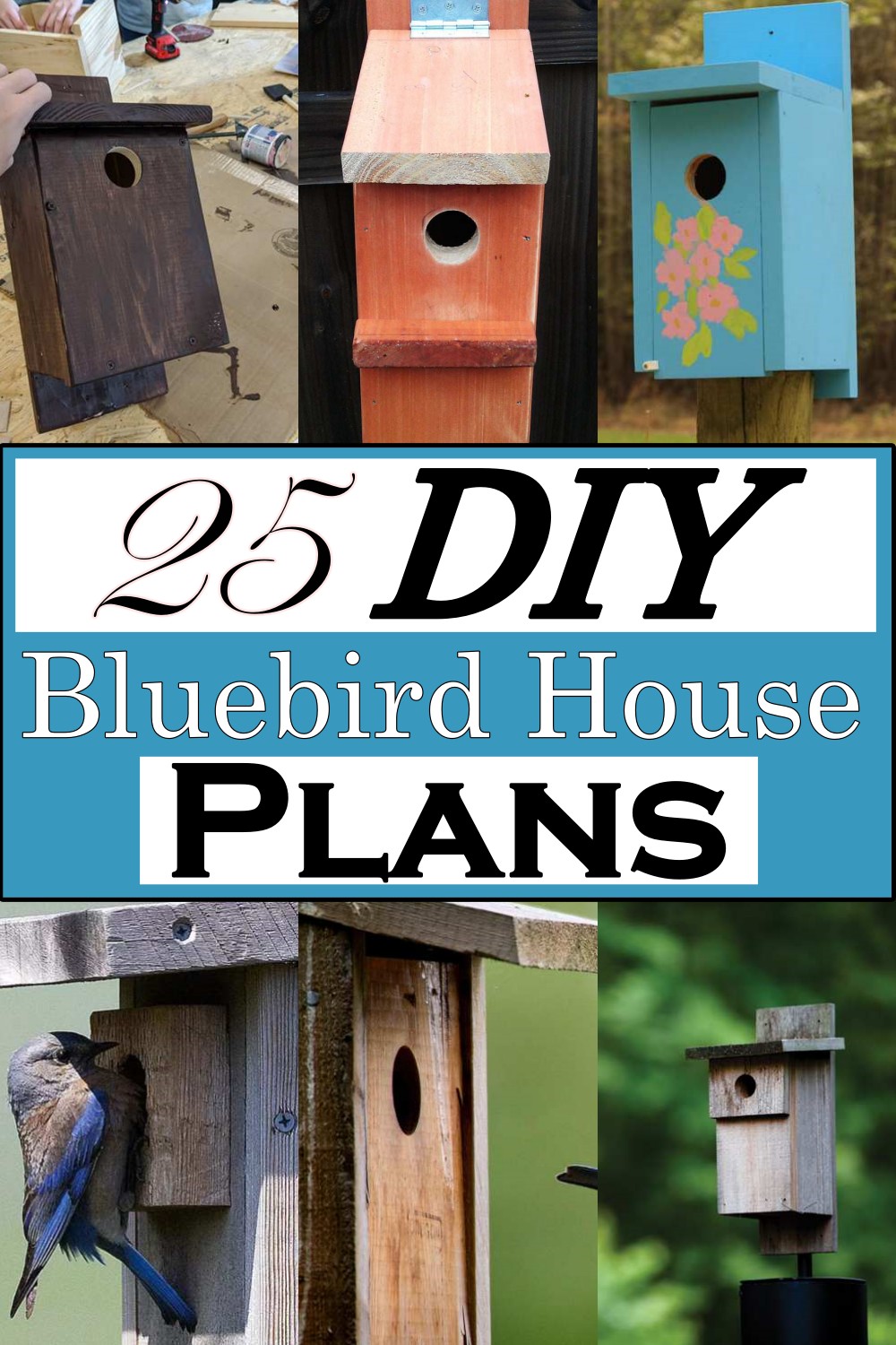 DIY Bluebird House Plans