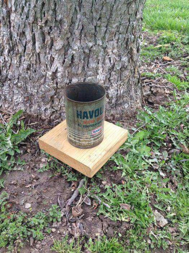 DIY Oil Can Squirrel Feeder