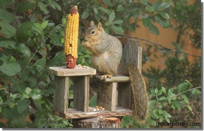 DIY Squirrel Feeder 1