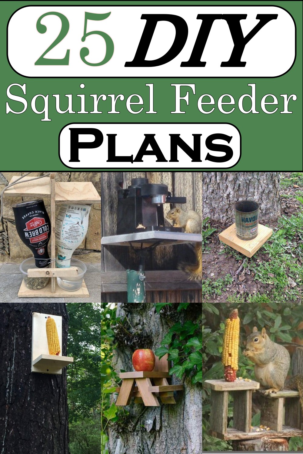 DIY Squirrel Feeder Plans