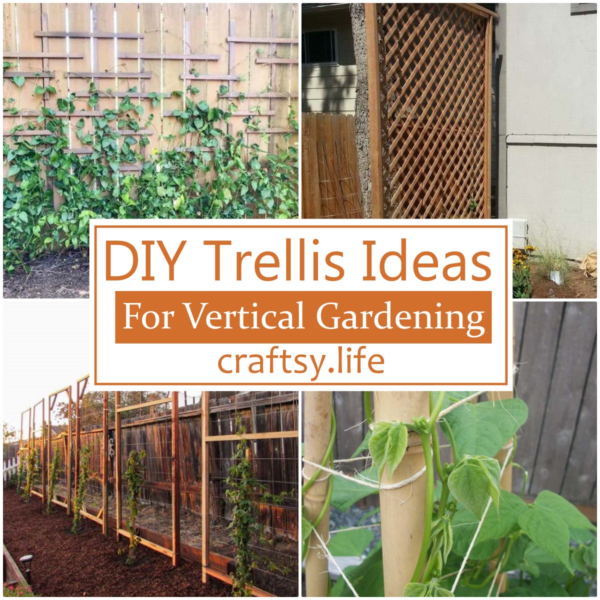DIY Trellis Ideas For Vertical Gardening