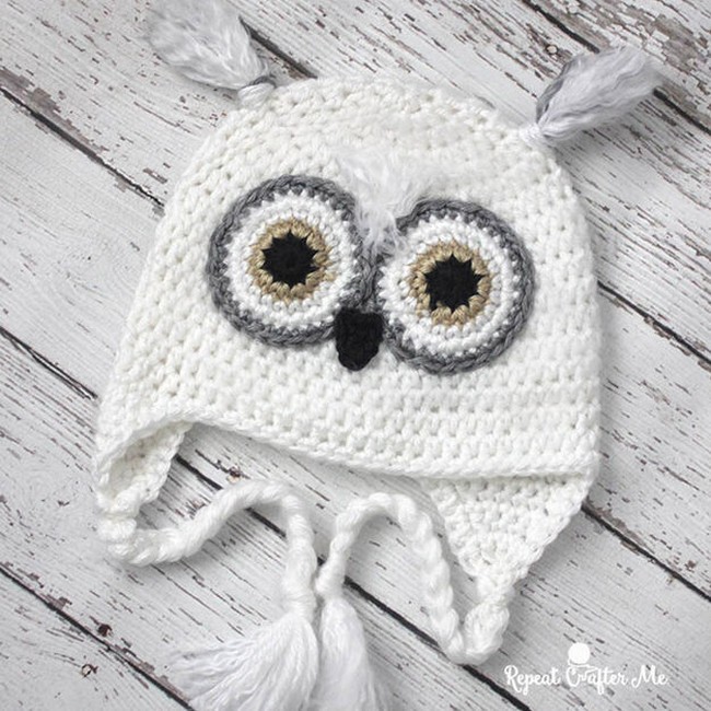 Baby Snowy Owl 