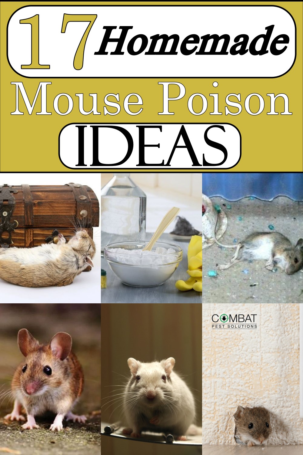 Homemade Mouse Poison Ideas 