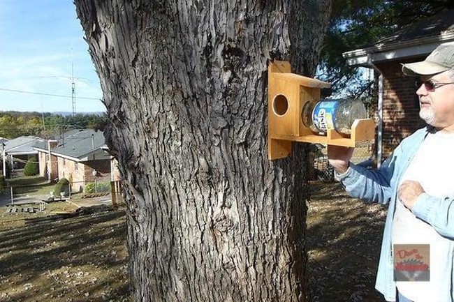 How To Make A Squirrel Feeder 1