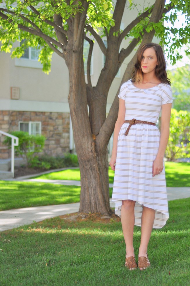 Knit Tapered Dress With Peter Pan Collar
