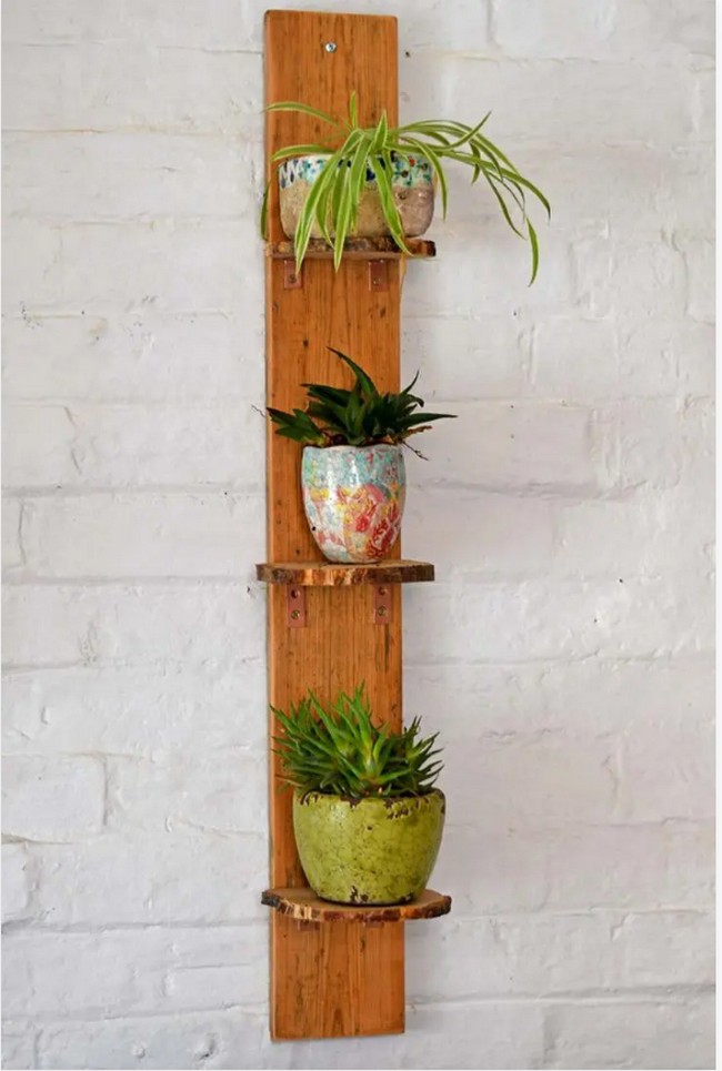 Plant Shelves