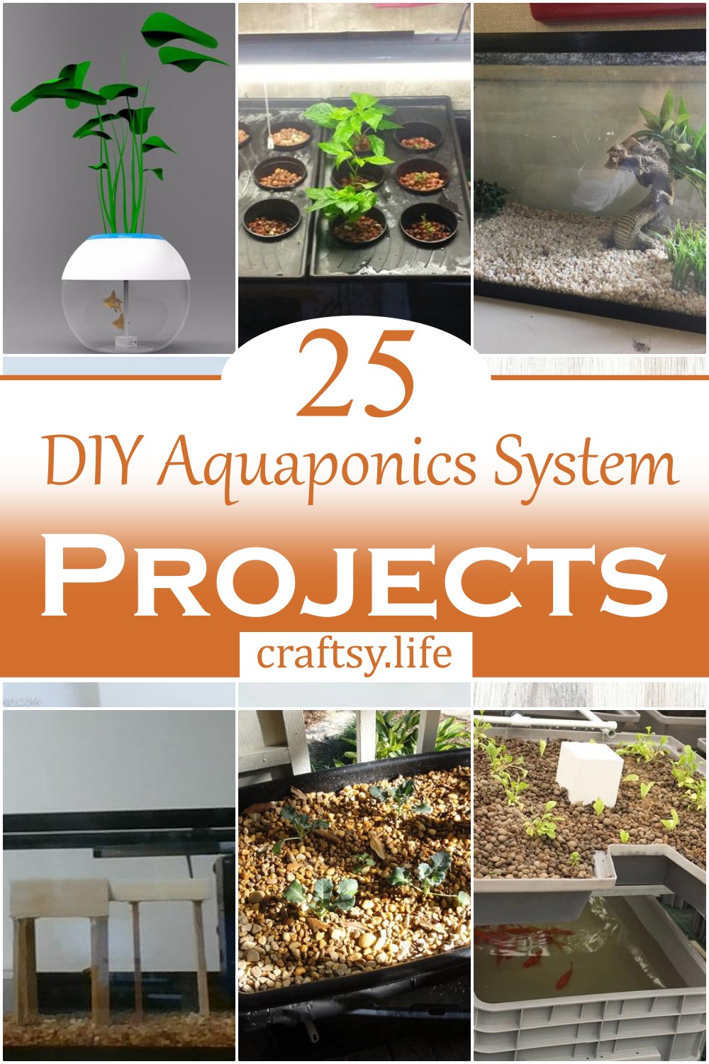 DIY Aquaponics System 3