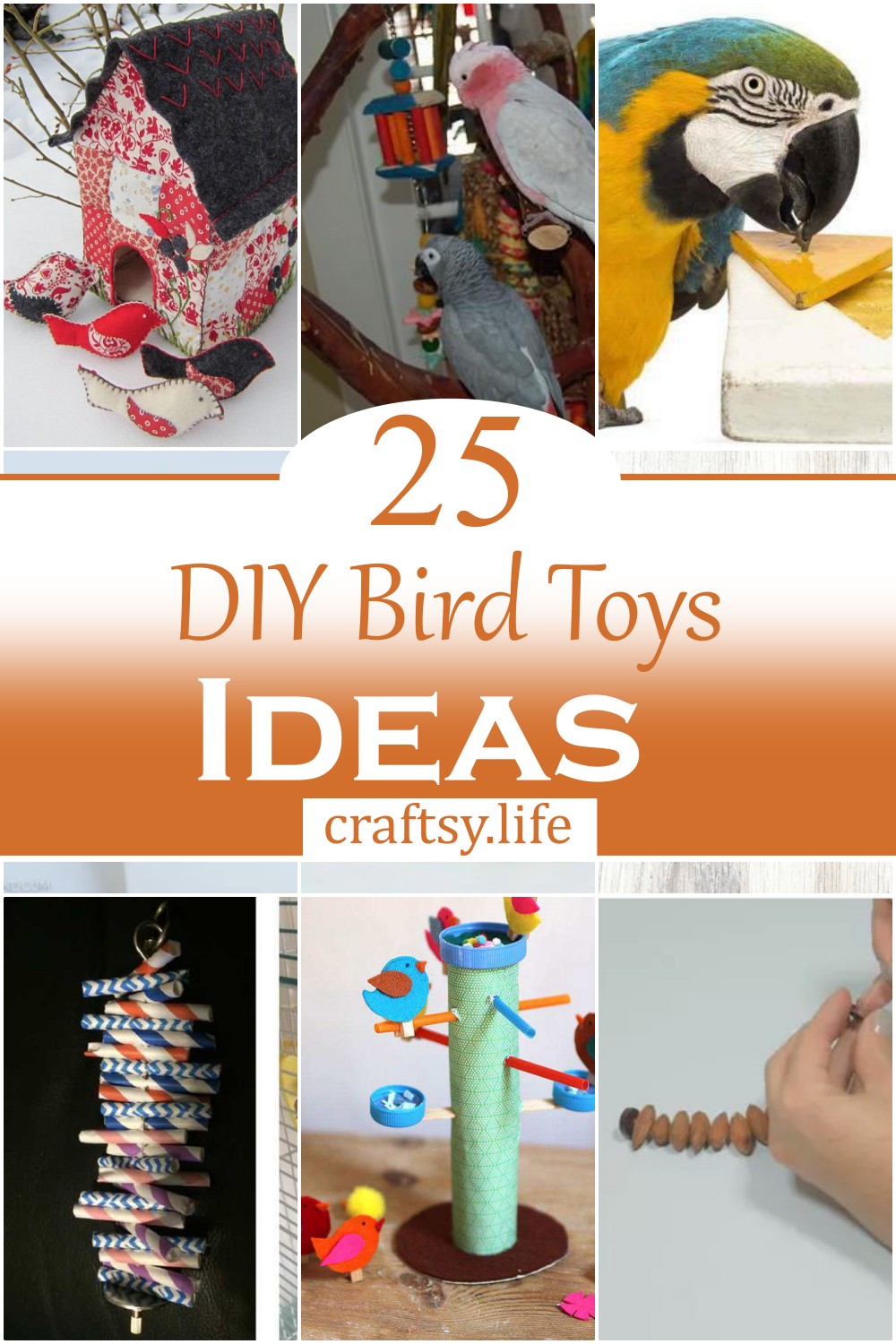 DIY Bird Toys Ideas