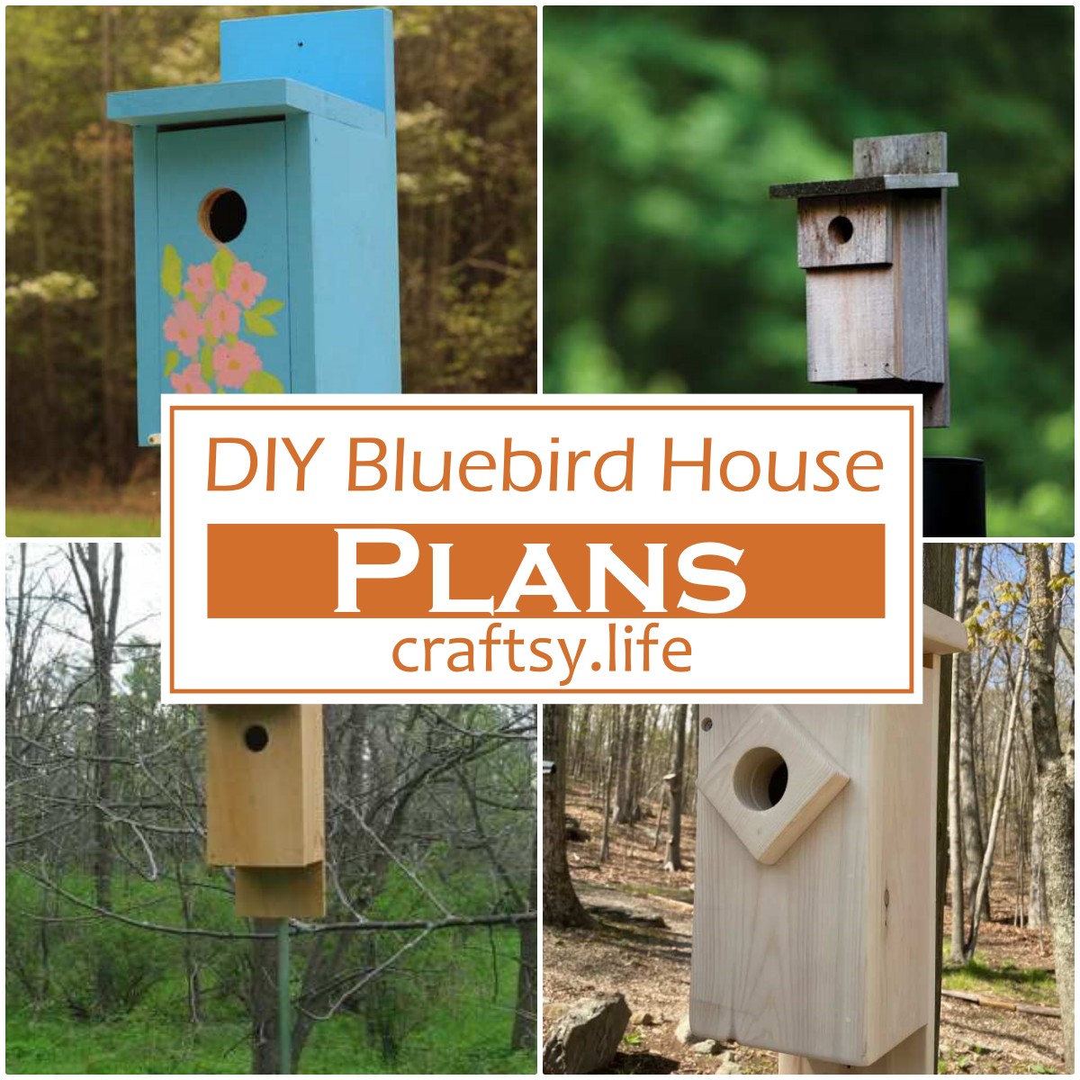 DIY Bluebird House Plans 1
