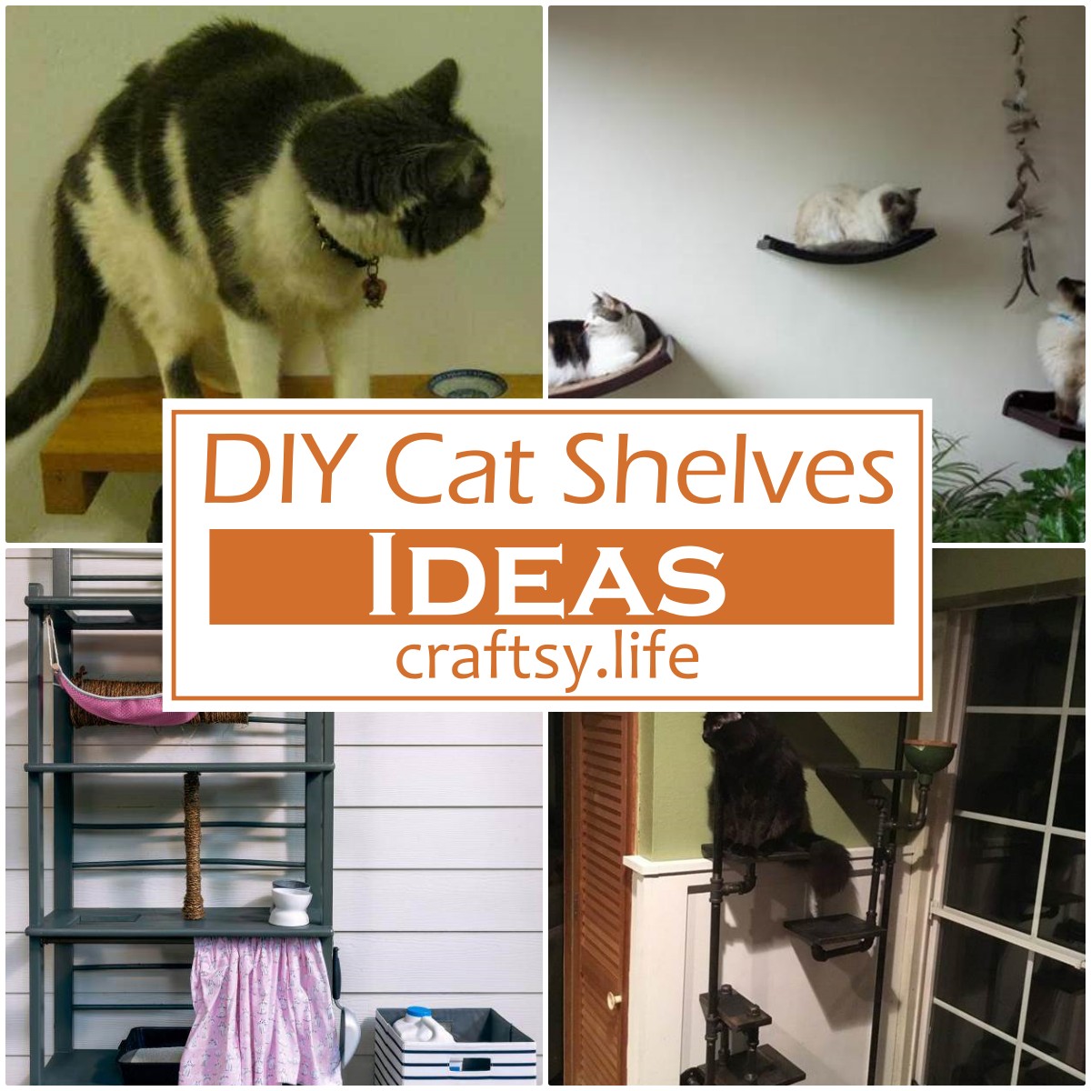 DIY Cat Shelves 1