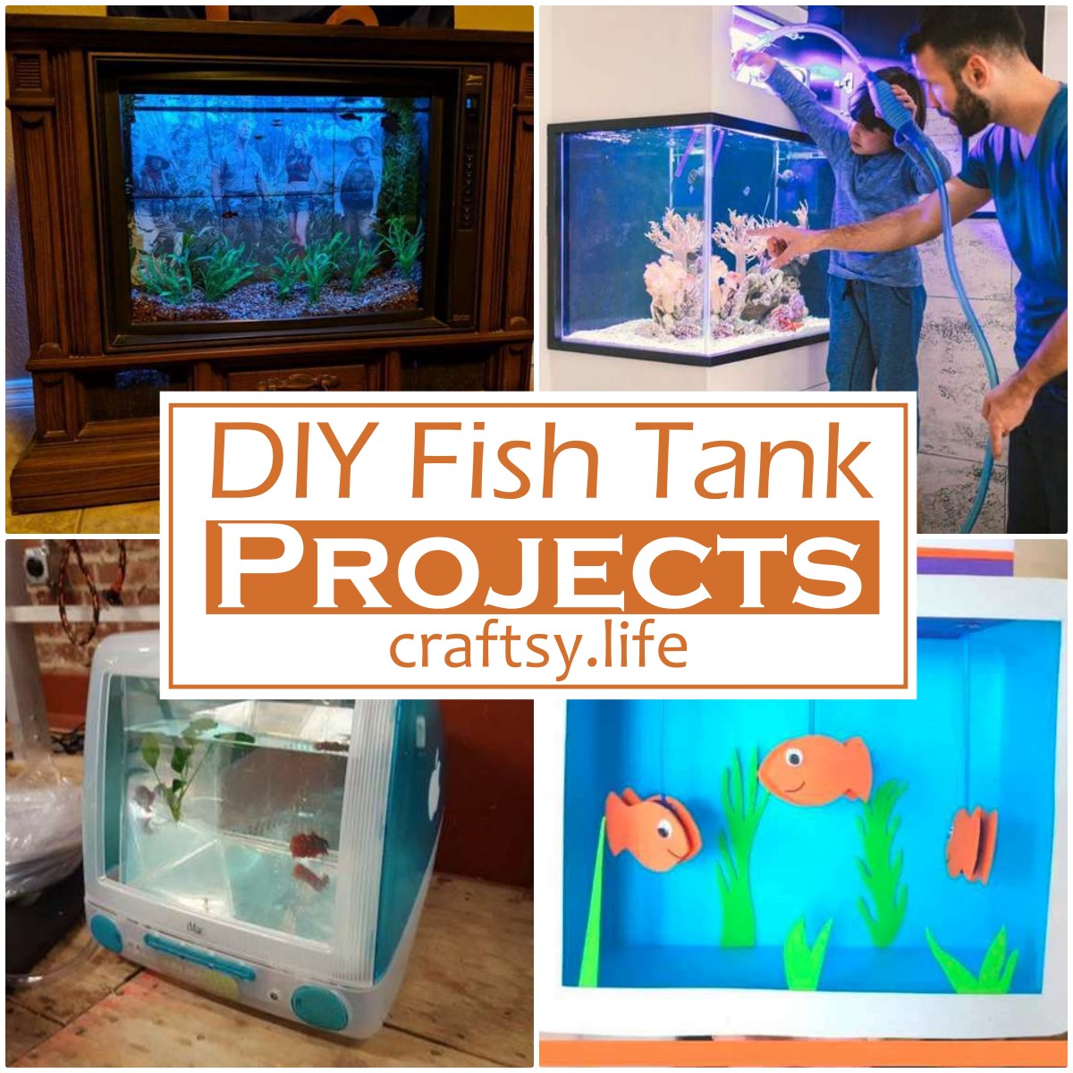 DIY Fish Tank Projects 1