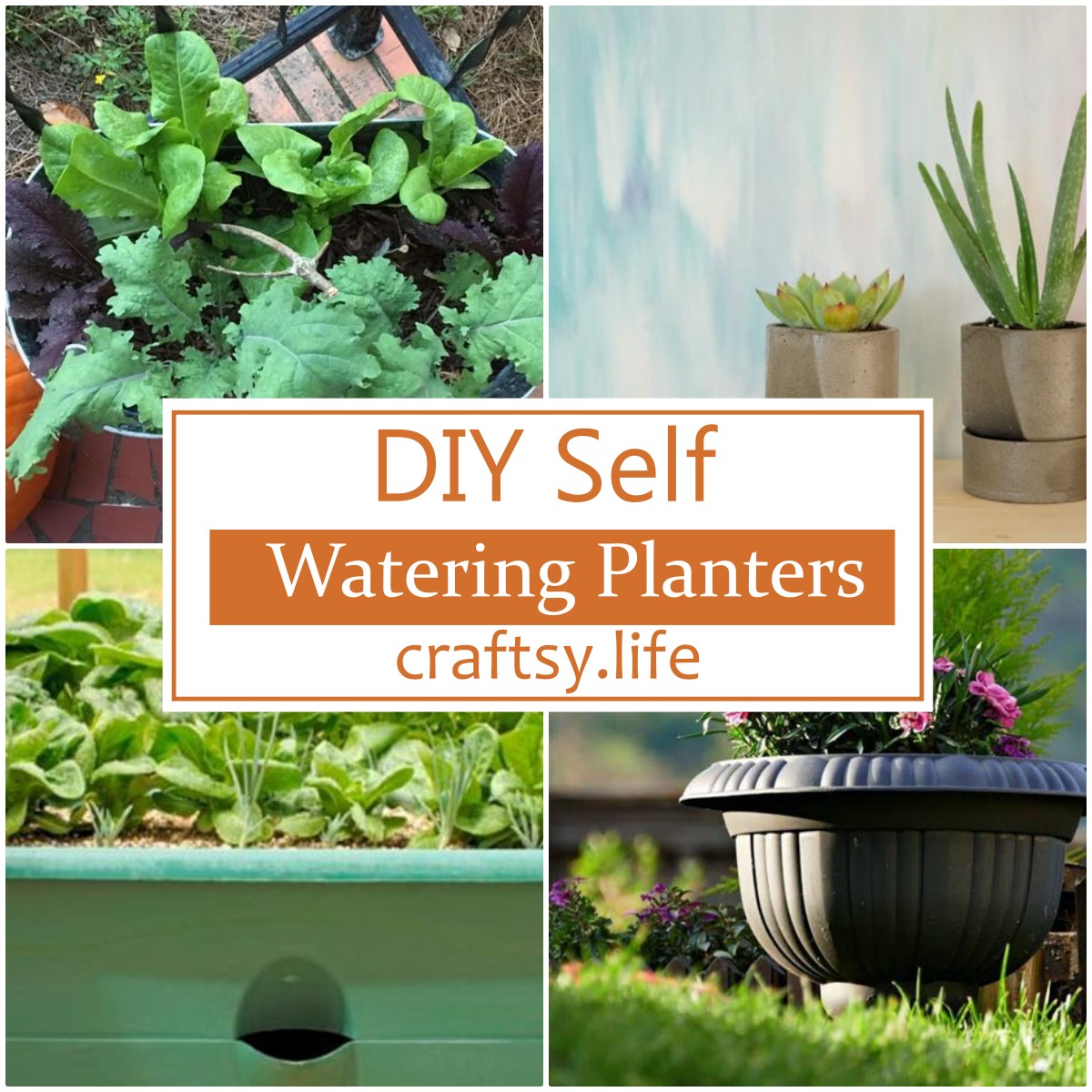 DIY Self Watering Planters
