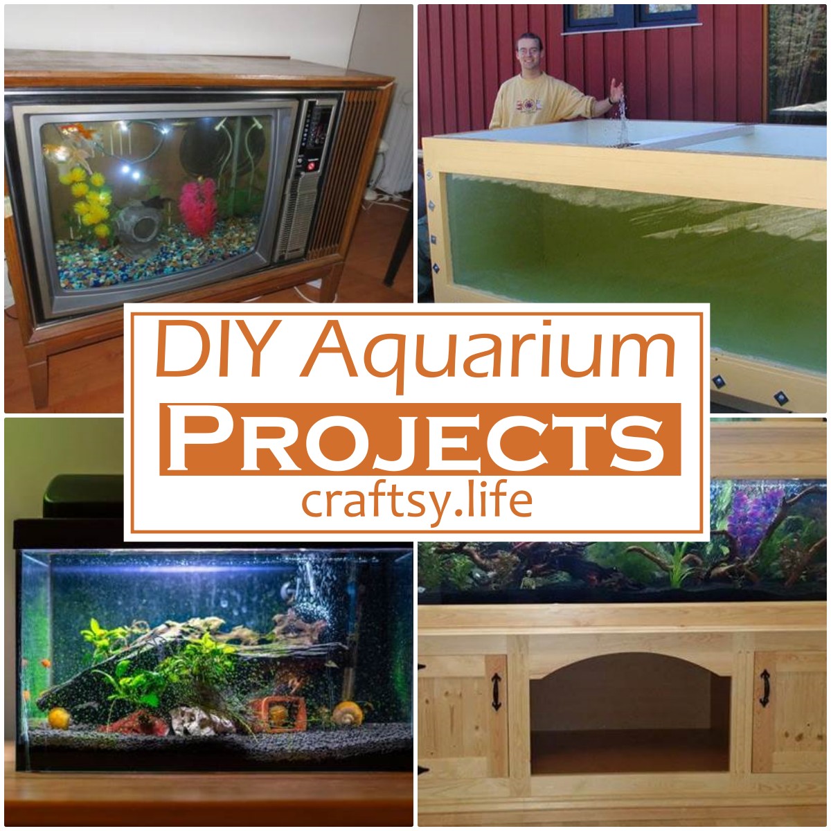 DIY Aquarium Projects 1