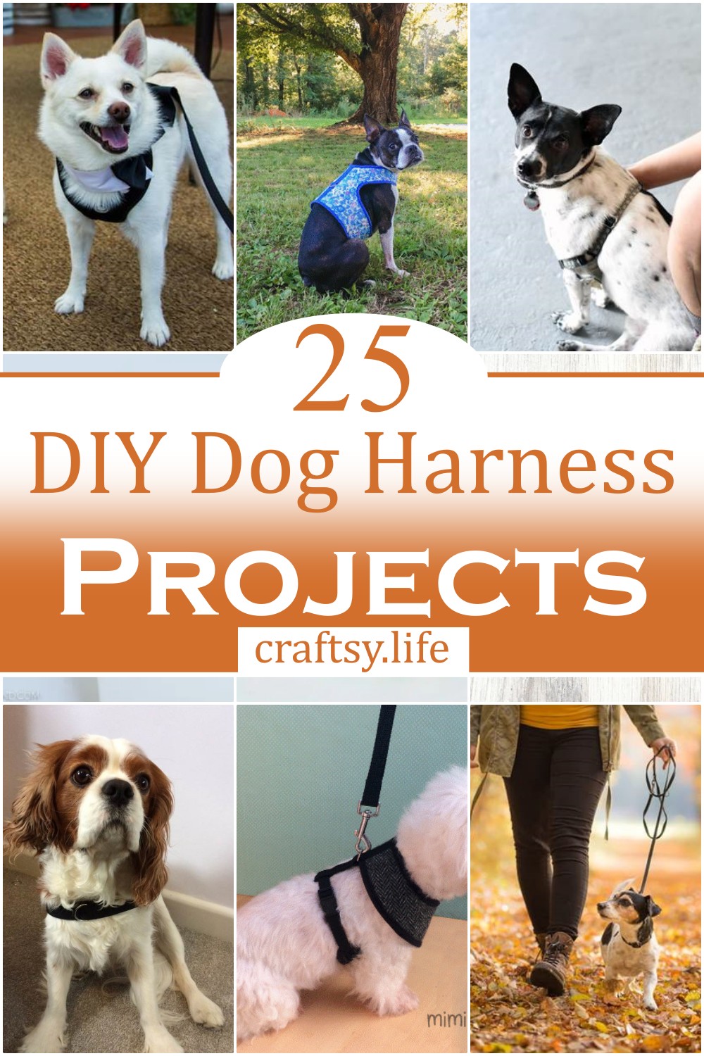 DIY Dog Harness Projects 2