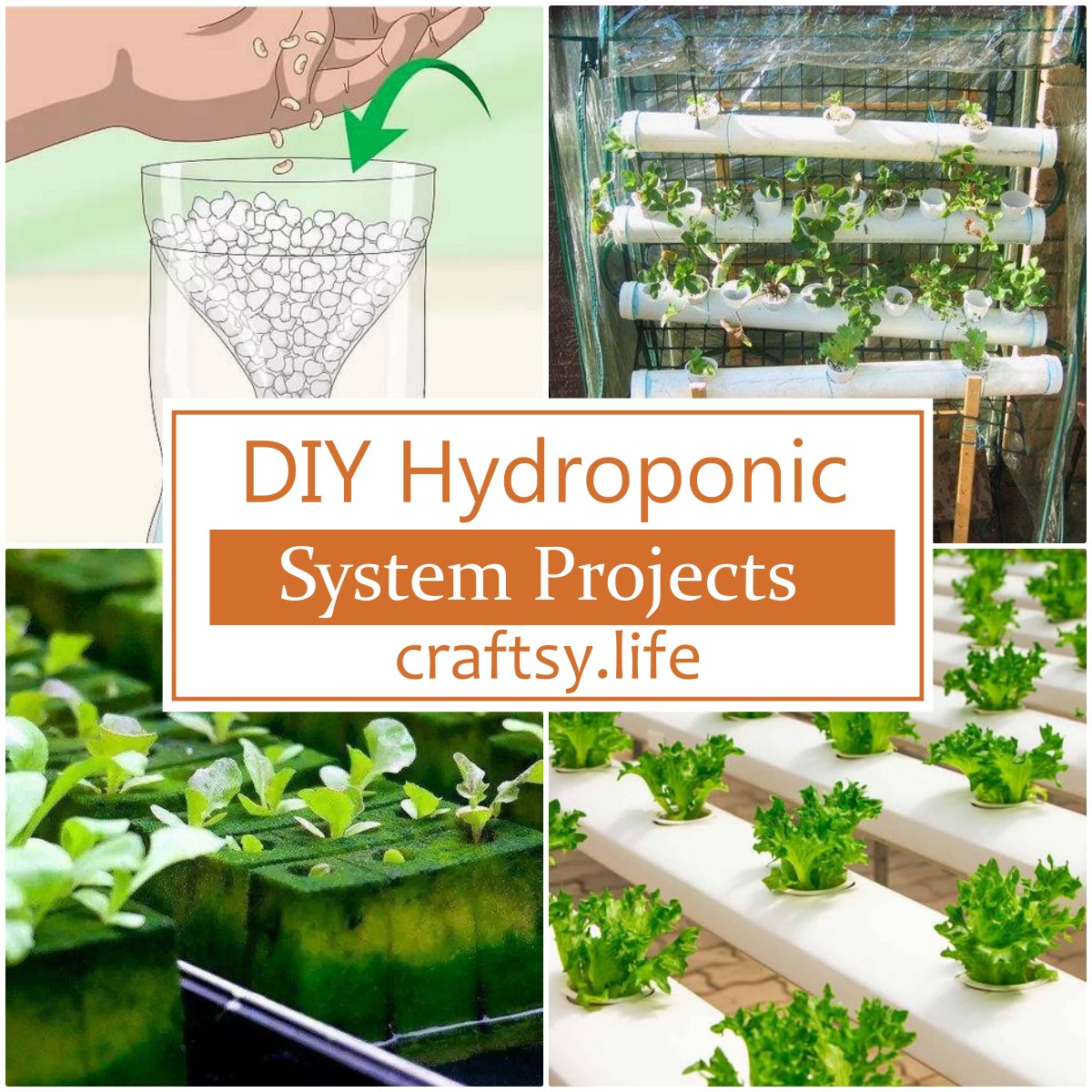 DIY Hydroponic System Projects