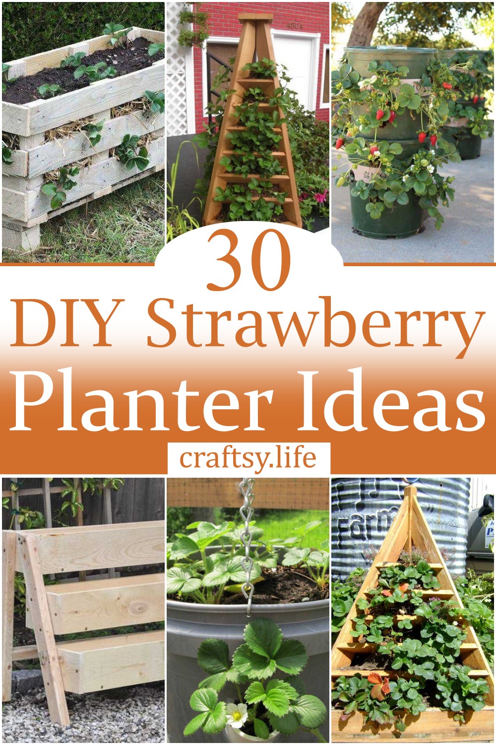 DIY Strawberry Planter Ideas