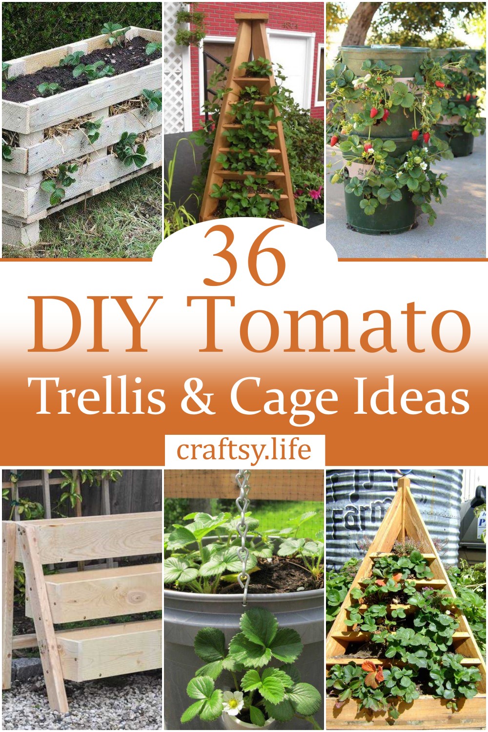 DIY Tomato Trellis & Cage Ideas