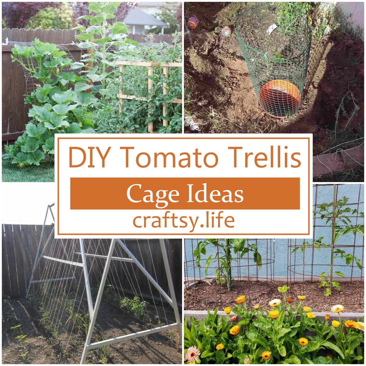 DIY Tomato Trellis & Cage Ideas