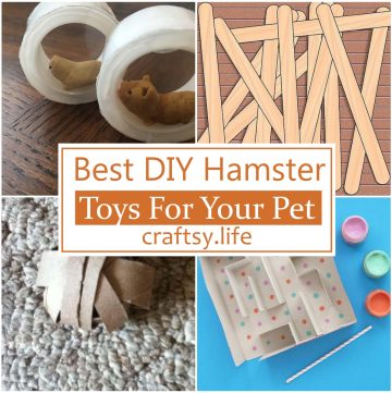 20 Best DIY Hamster Toys For Your Pet
