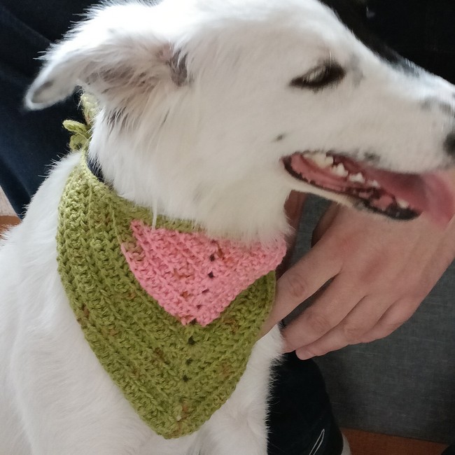 Annie's dog bandana