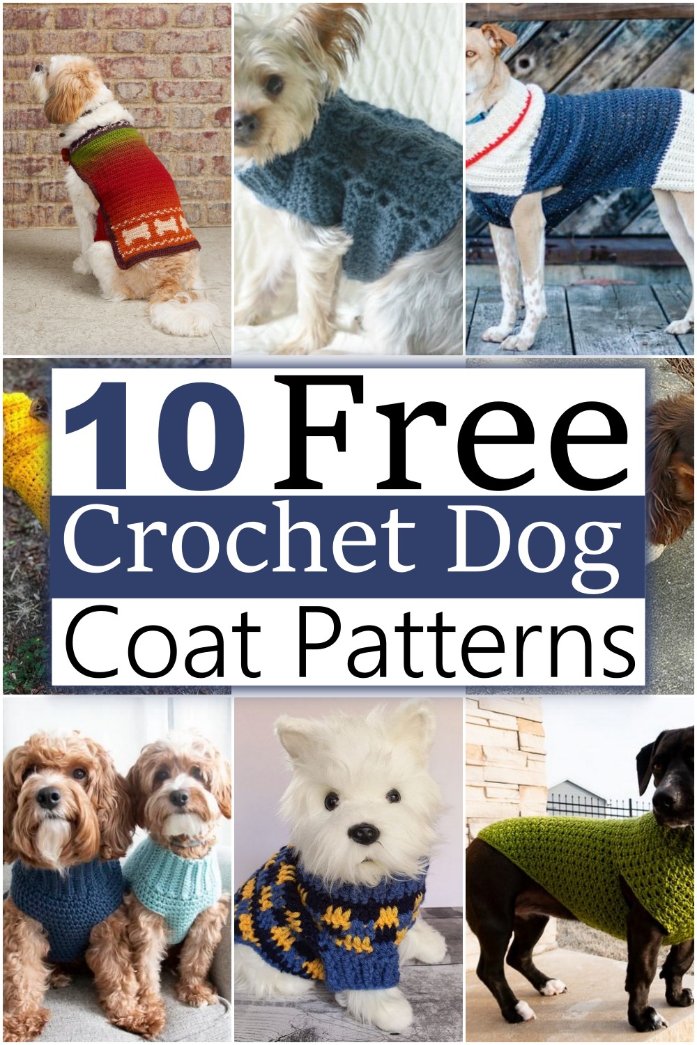 Crochet Dog Coat Patterns