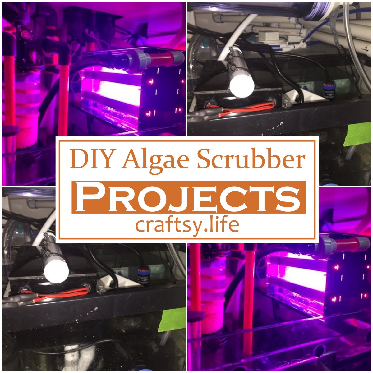 DIY Algae Scrubber Projects