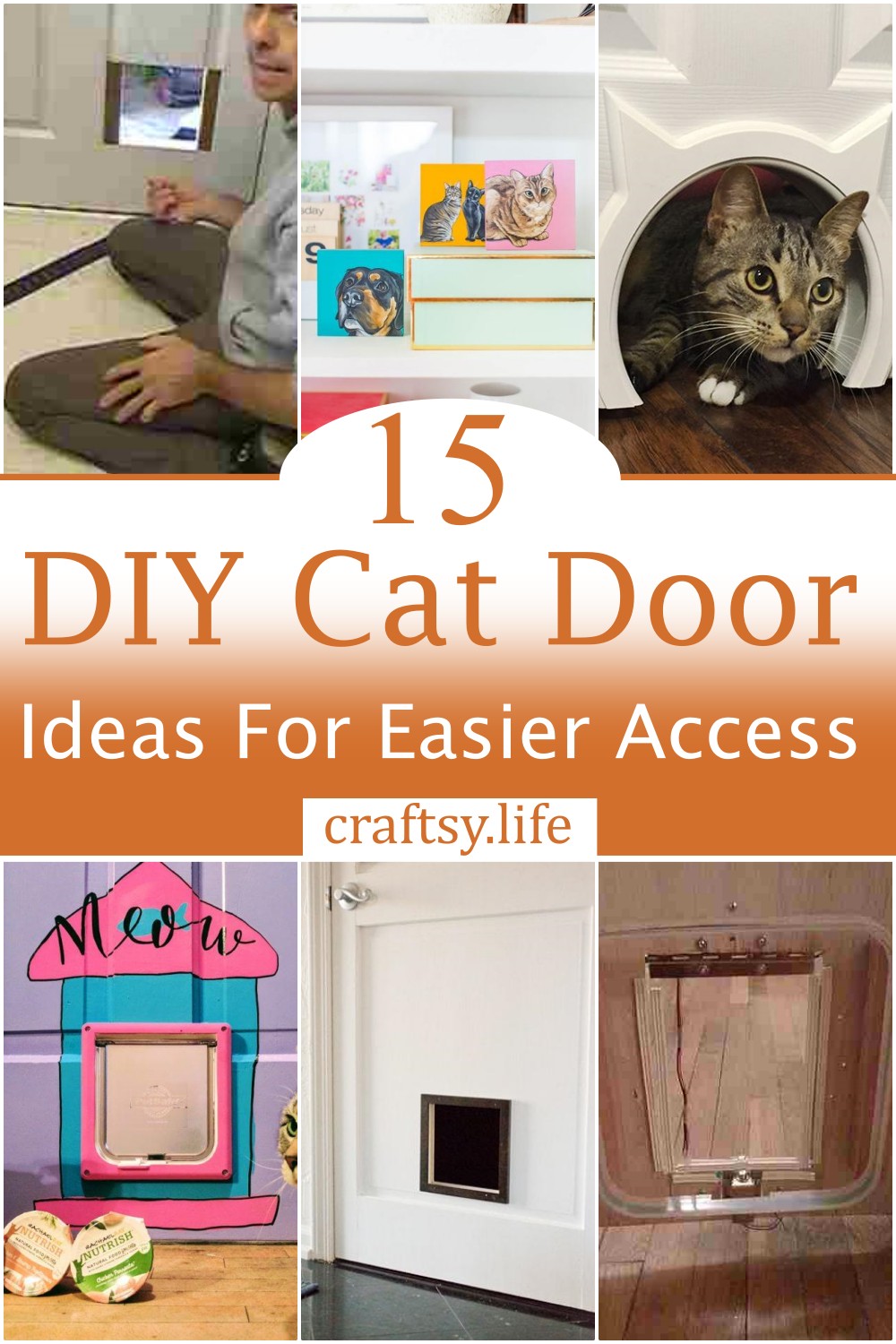 DIY Cat Door Ideas