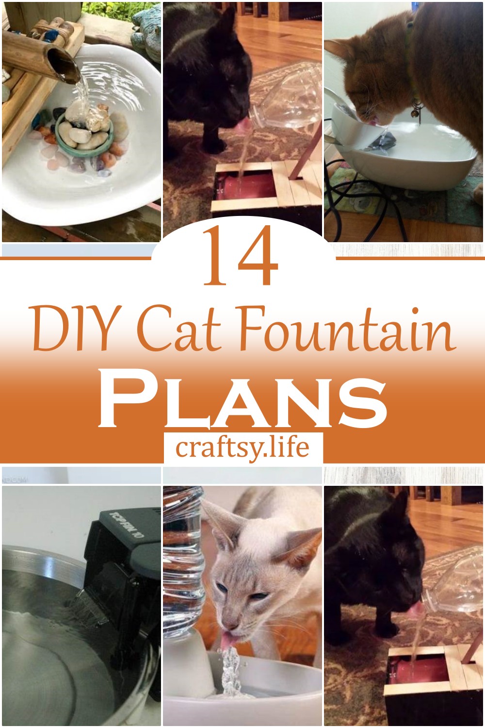 DIY Cat Fountain Plans