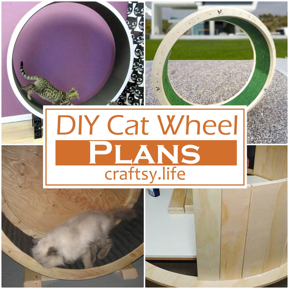 DIY Cat Wheel Plans 1