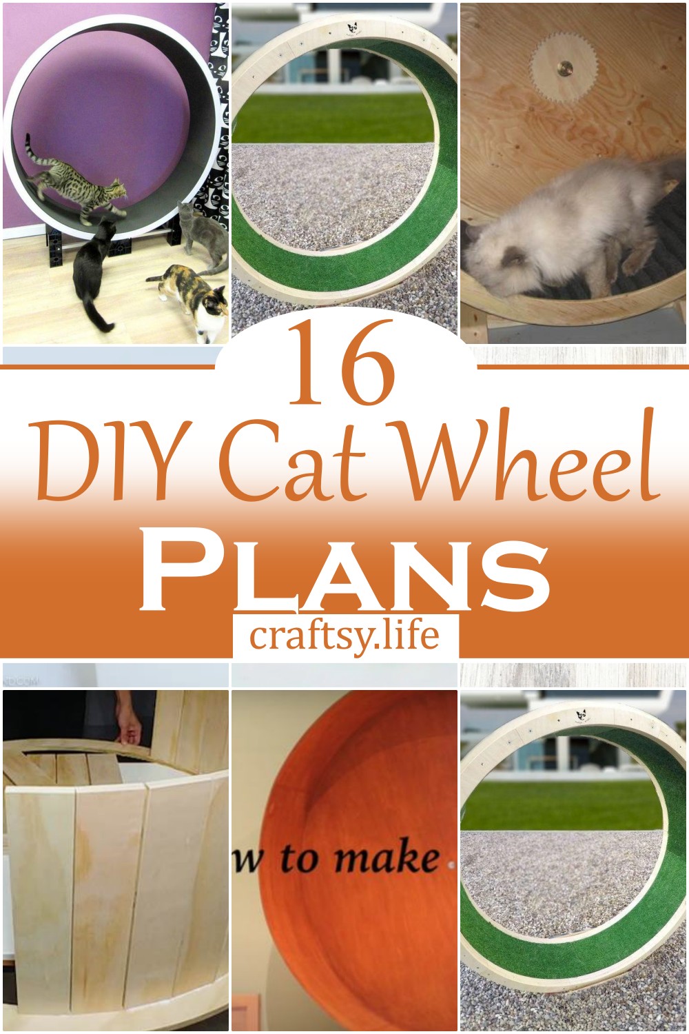 DIY Cat Wheel Plans