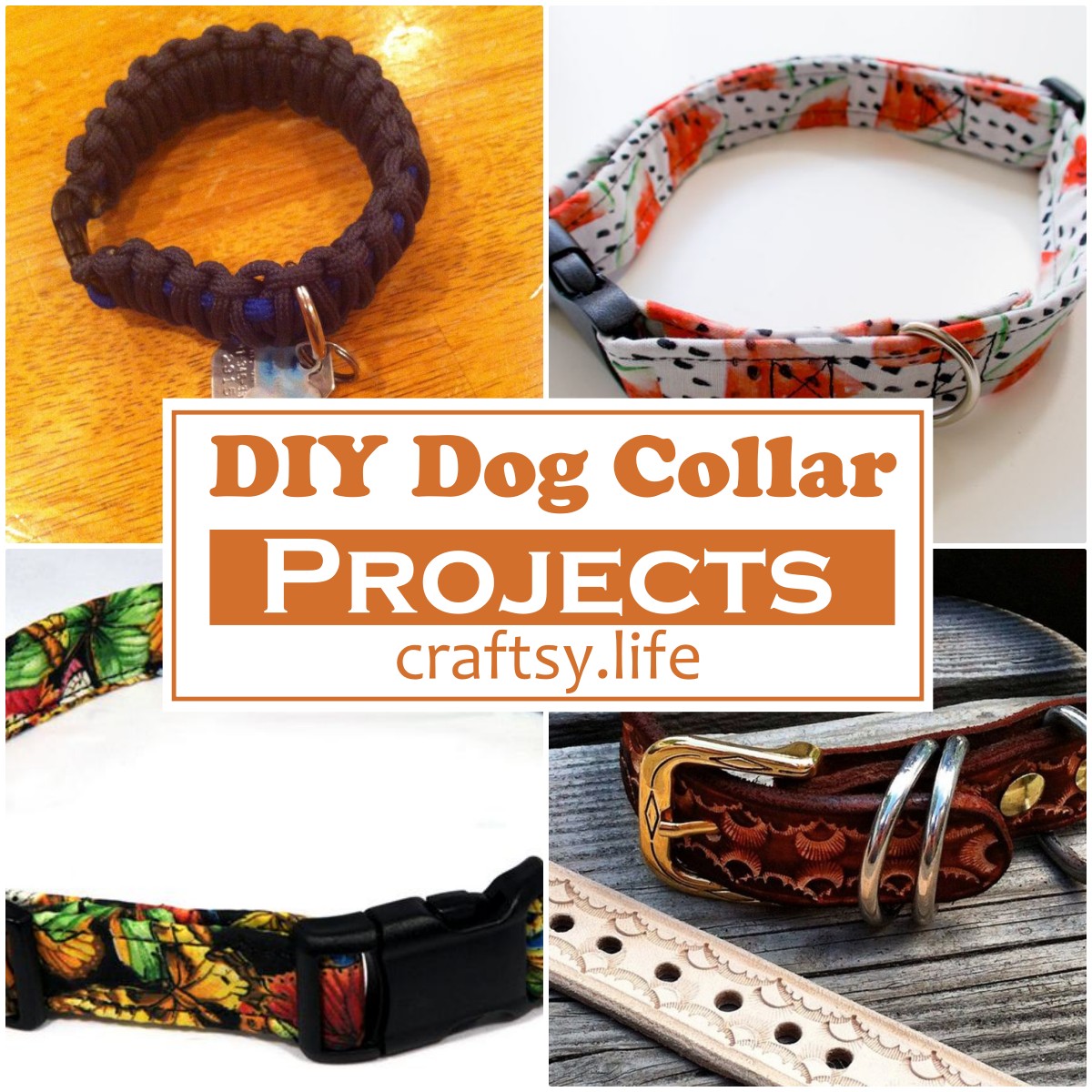 DIY Dog Collar Projects 1
