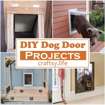 DIY Dog Door Projects 1