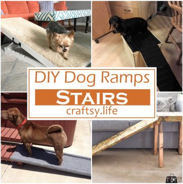 DIY Dog Ramps & Stairs 1