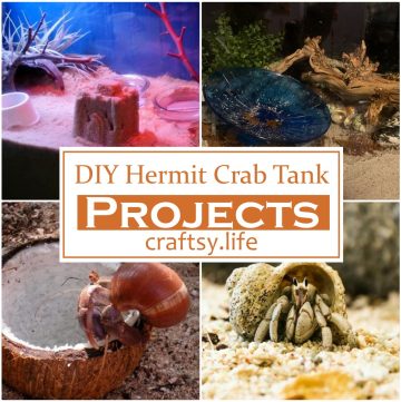 DIY Hermit Crab Tank Projects 1