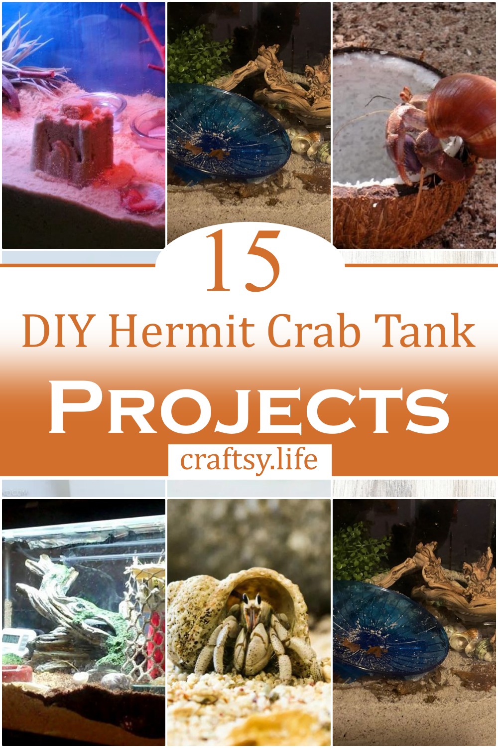 DIY Hermit Crab Tank Projects