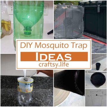 DIY Mosquito Trap Ideas 1