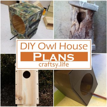 DIY Owl House Plans 1