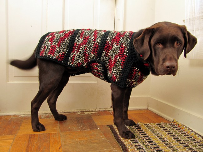 Dog Sweater-Jacket