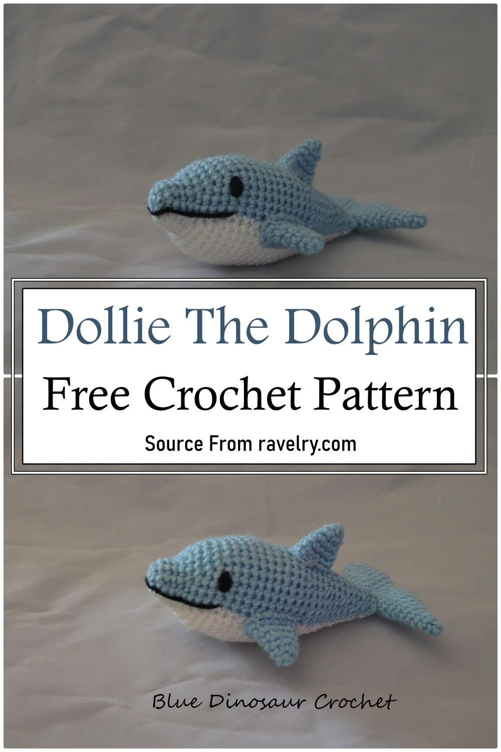 Dollie The Dolphin