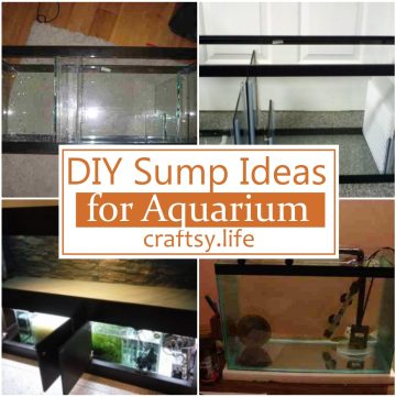 Easy DIY Sump Ideas for Aquarium