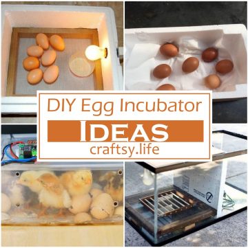 Homemade Egg Incubator Ideas 1