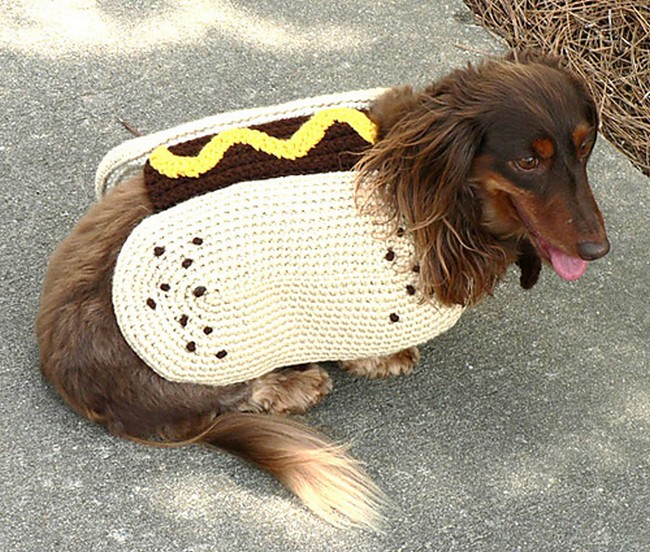 Hot Dog Coat