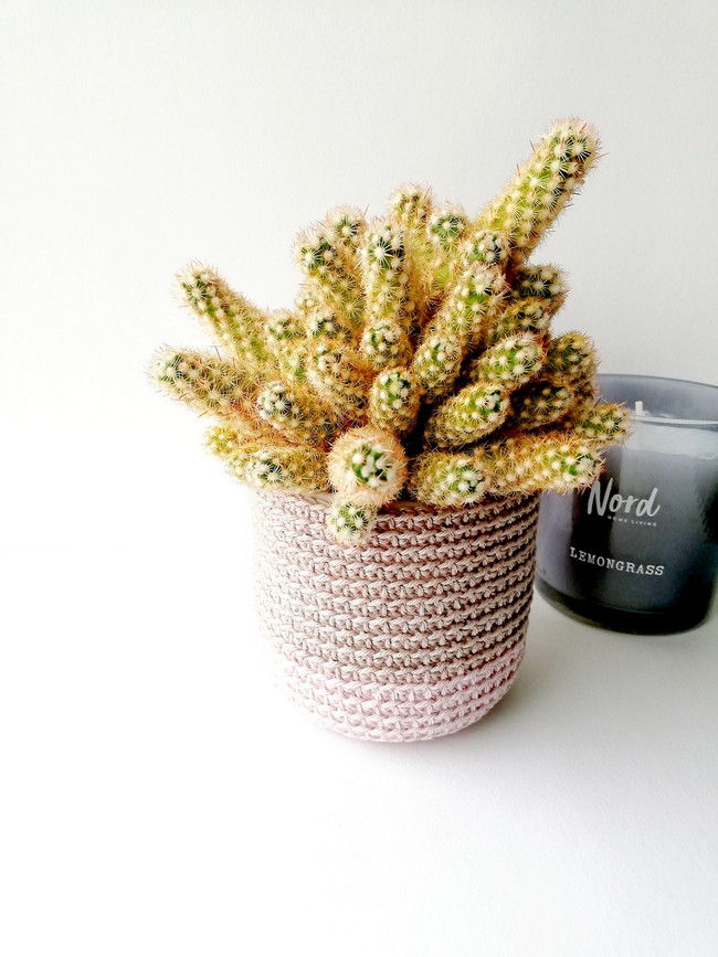 Mini plant pot cozy Molly