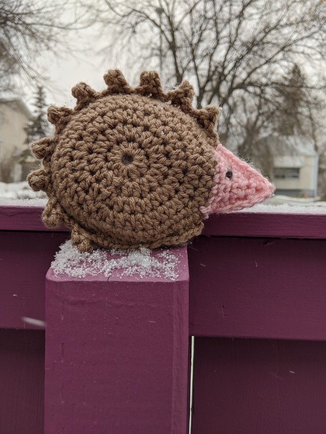 Baby Hedgehog Amigurumi