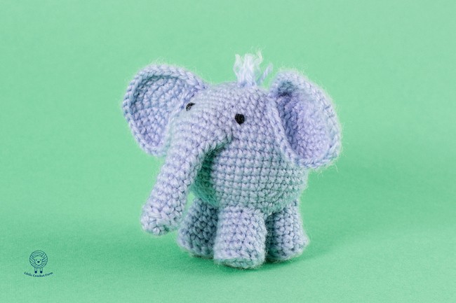 Chubby elephant