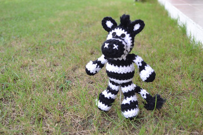 Little Bigfoot Zebra